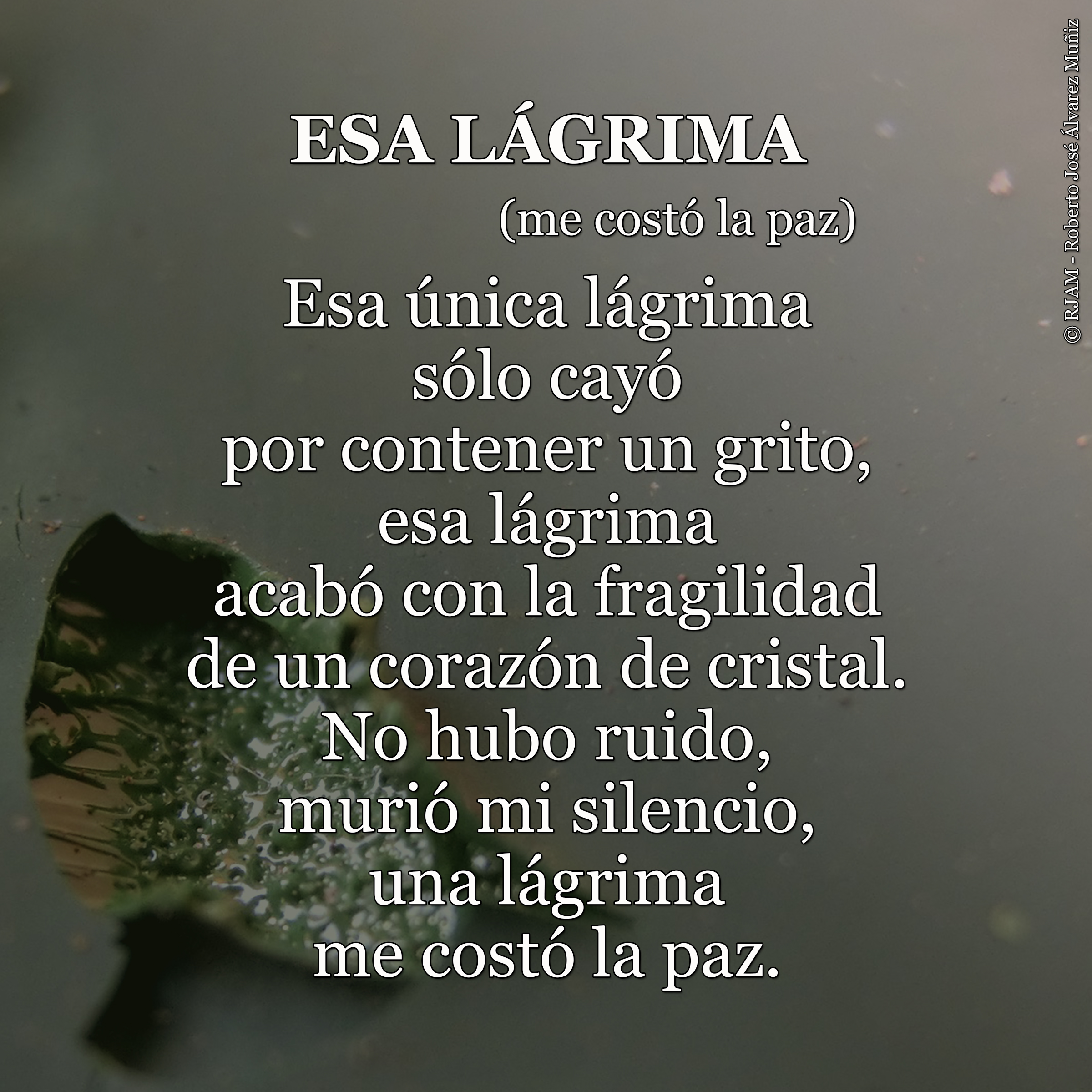 Poema Esa lágrima