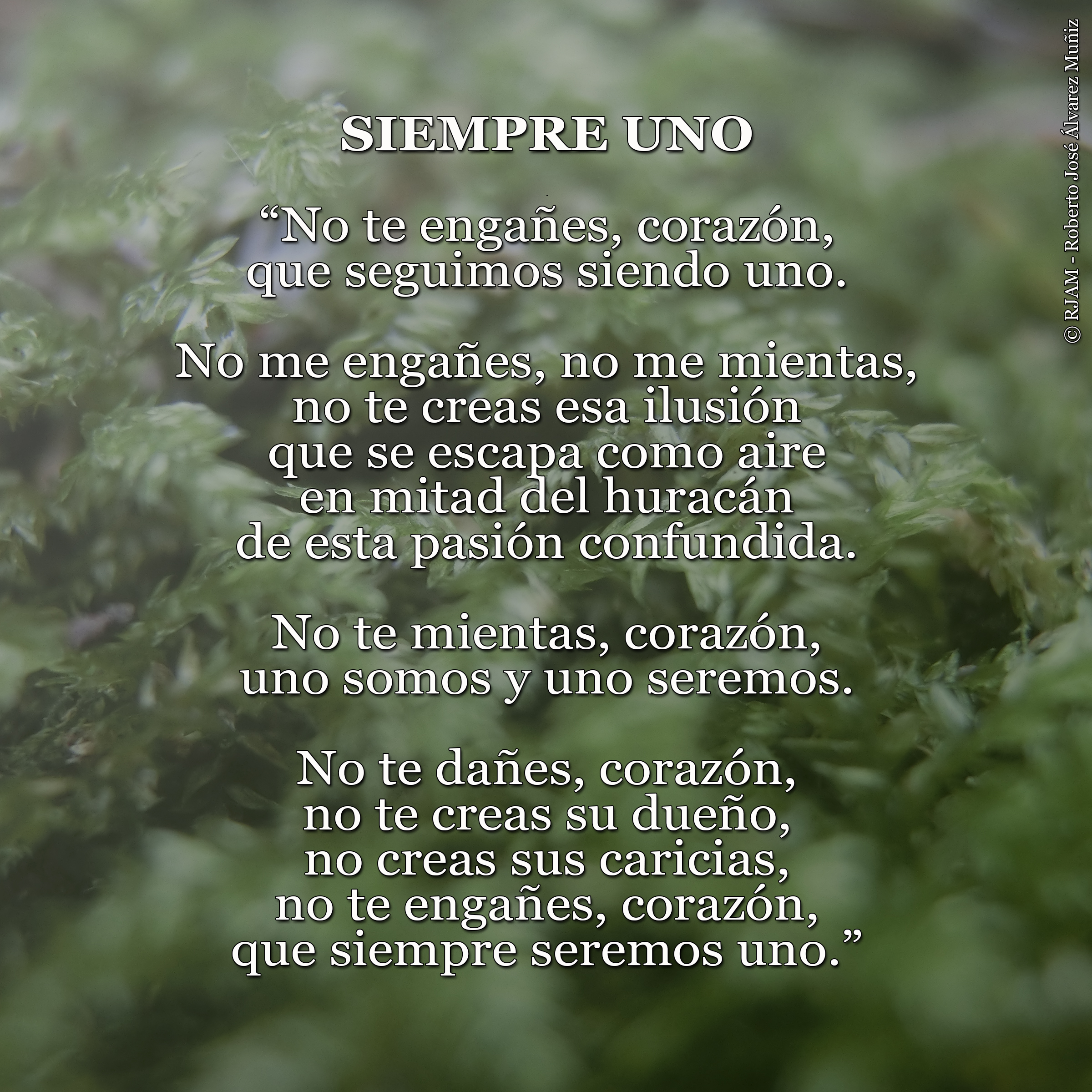 Poema Siempre uno