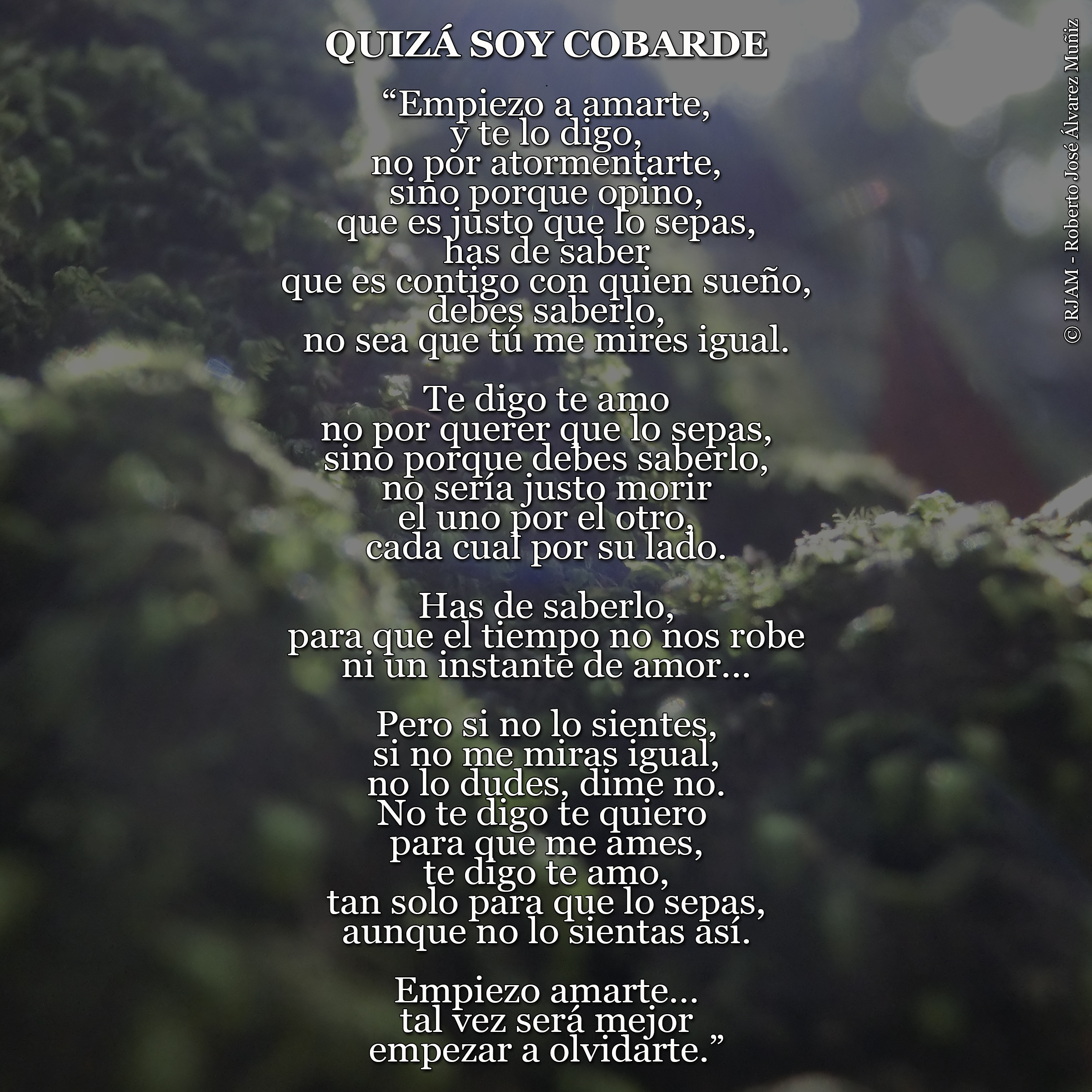 Poema Quizá soy cobarde