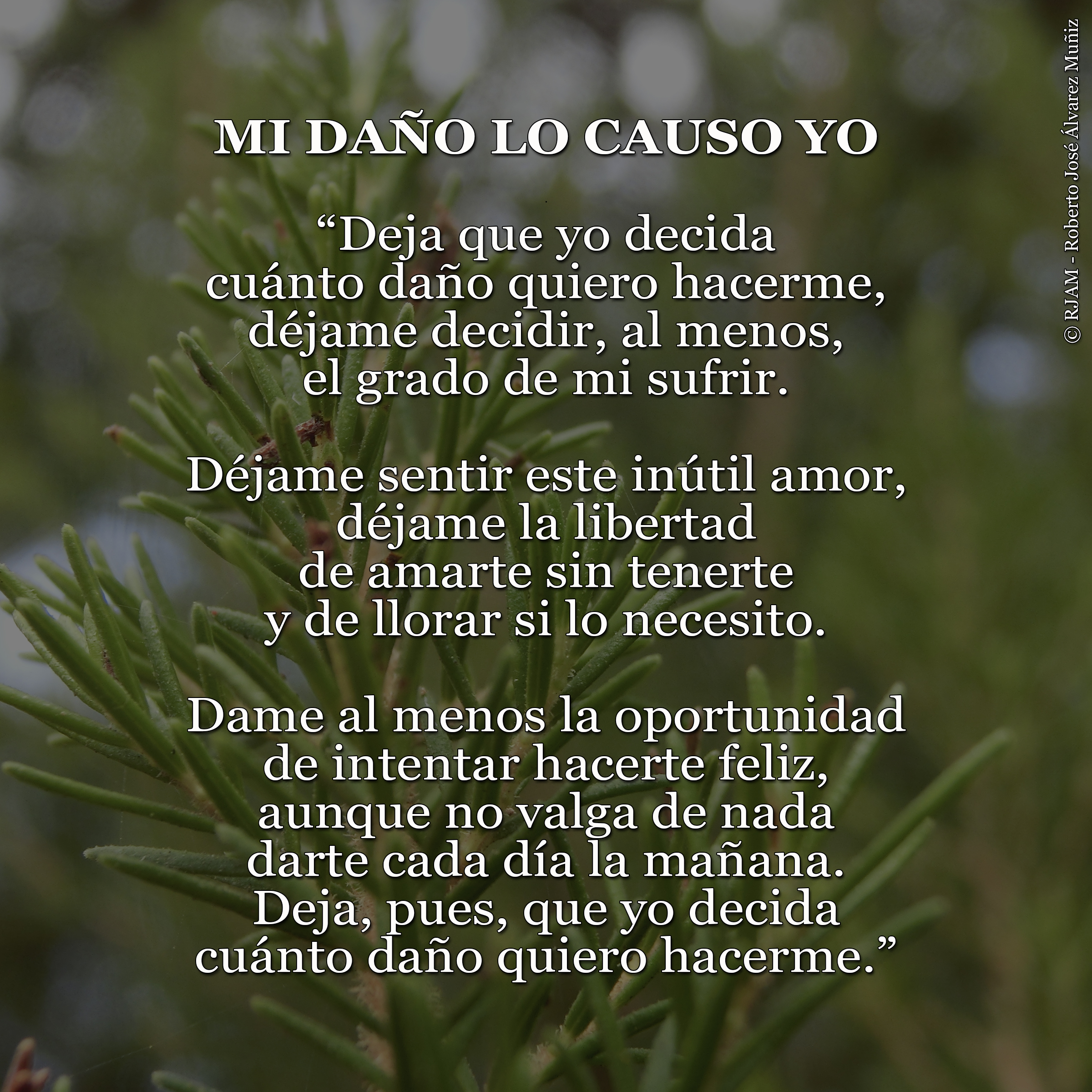Poema Mi daño lo causo yo